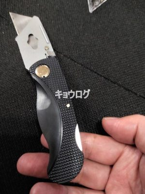 DAISO
